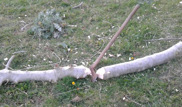 une hache posée à la séparation d'une branche coupée au sol sur l'herbe